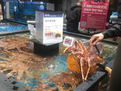 水产区-盒马鲜生(皇庭广场店)