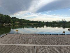 -马家湾湿地公园