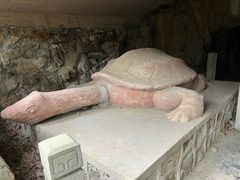 -上海佘山国家森林公园天马山园