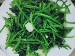 -天鹅到家·保姆月嫂育儿嫂(蔚蓝海岸店)