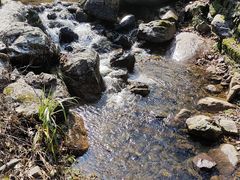 -江西阳明山国家森林公园