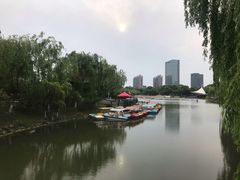 -桐乡植物园