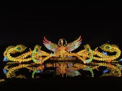 -武汉园博园(武汉自然博物馆)