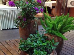 -百味馆·粤菜·湛江菜(后海花园店)