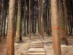 -太阳湾风景区