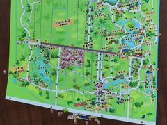 -东平国家森林公园