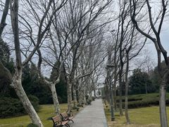 -蠡湖中央公园