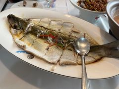 -黄鹤楼湖北特色菜(高碑店)
