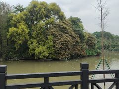 -海珠湖公园