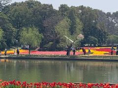 -上海鲜花港