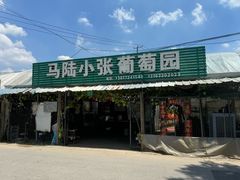 -马陆小张葡萄园农家乐