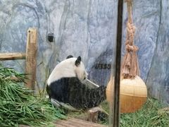 -深圳野生动物园