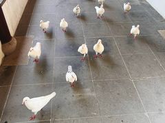 -重元寺香积厨素斋馆