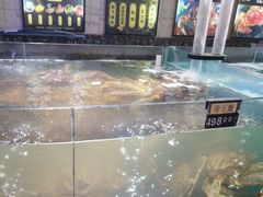 -蟹之国·精品蟹料理(极地店)