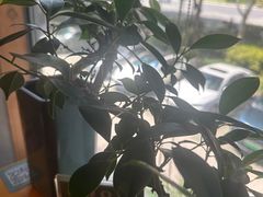 -竹里馆 ·茶食(奥体店)