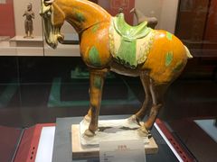 -宁夏博物馆