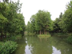 -西溪国家湿地公园