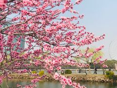 -无锡蠡湖国家湿地公园-蠡园