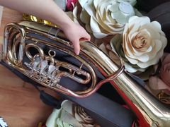 -四川农业大学(雅安校区)