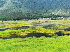 -腾冲北海湿地