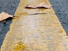 -四川农业大学(雅安校区)