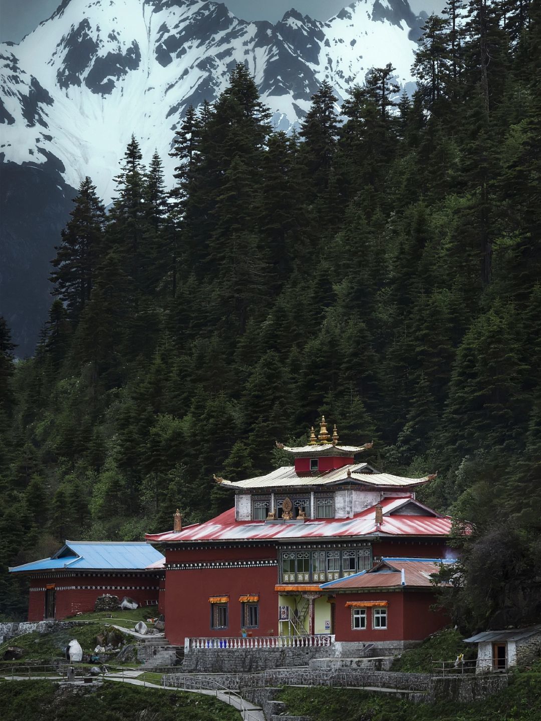 西藏墨脱旅游攻略