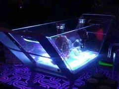 大堂-昔唐Sitong BAR