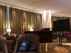 -国家会议中心大酒店