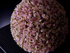 -荷兰布尔玛国际花艺学院