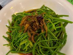 菌香水性杨花-尽善百年古院餐厅(王家老宅店)