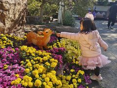 -虞山城墙