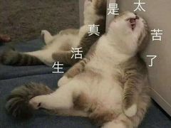 -大家烤羊庄·聚餐团建·谢师宴·生日派对(南山店)