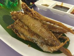 -宝燕壹号(徐汇店)