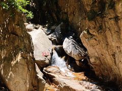 -黑龙潭风景区