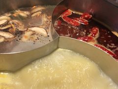 -青瓷火锅料理(西单大悦城店)