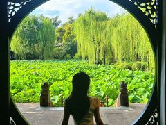 -桂湖森林公园