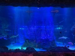 -沈阳海洋探索中心