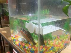 -阳光披萨(辽宁路店)