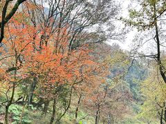 -广州市石门国家森林公园