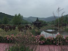 -石塘人家