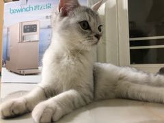 -贝利宠物医院·骨科·眼科·肿瘤转诊中心(南坪诊疗中心)