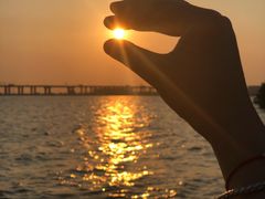 -宝安西湾红树林湿地公园