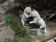 -陕西自然博物馆