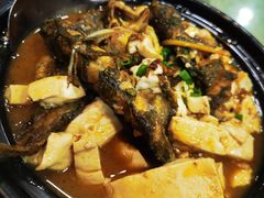 黄骨鱼焖豆腐/斤-来客家食府 · 福建客家菜(厦禾路店)
