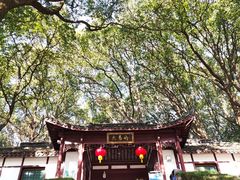 -上海佘山国家森林公园天马山园