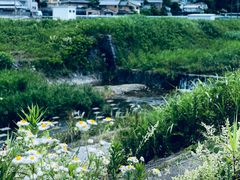 -岚山嵯峨野观光小火车