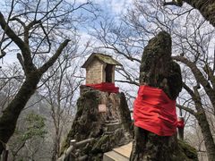 -塔云山
