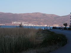 -才村湿地公园