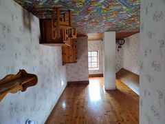 -金山农民画村-枫泾波兰倒置屋