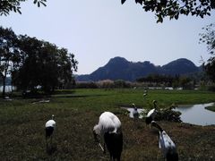 -星湖旅游景区七星岩